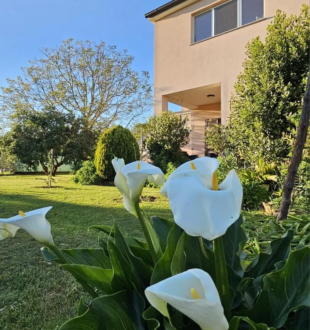 Casa Da Billy Apartment Pula Croatia